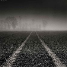 leading to the trees ii.jpg